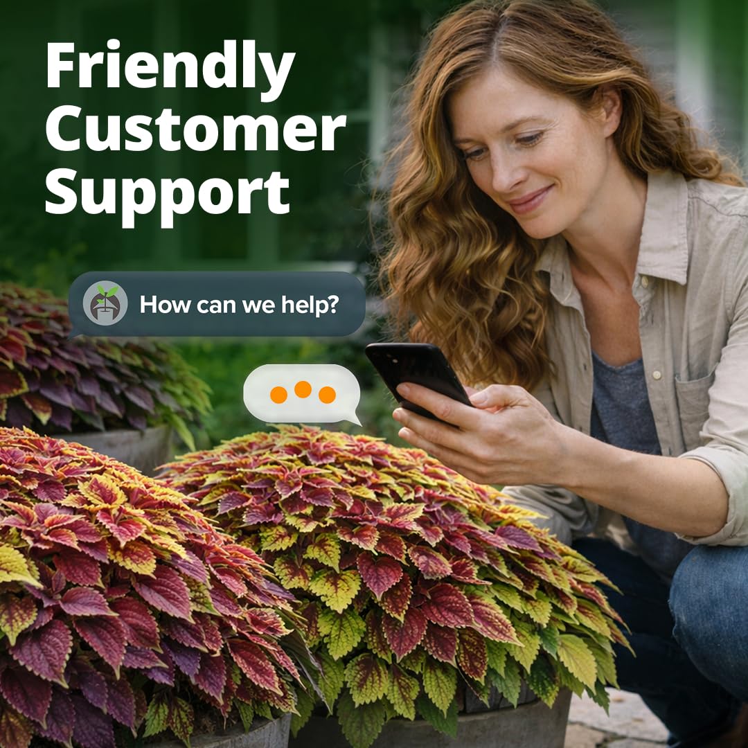 HOME GROWN Rainbow coleus seeds offer garden art through patterned foliage.