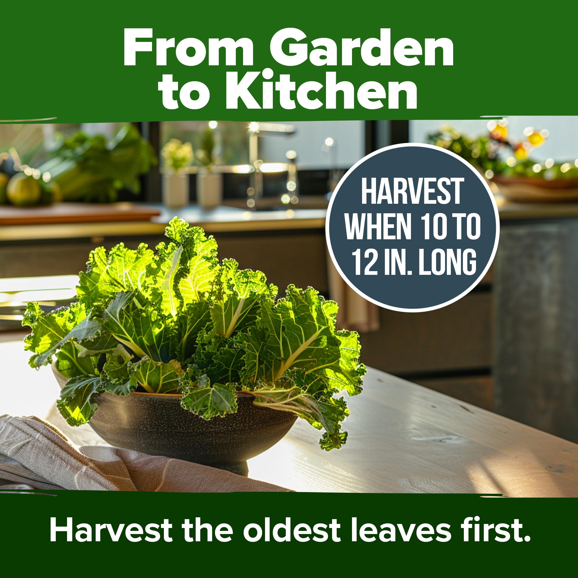 HOME GROWN non-GMO seeds for pure leafy greens