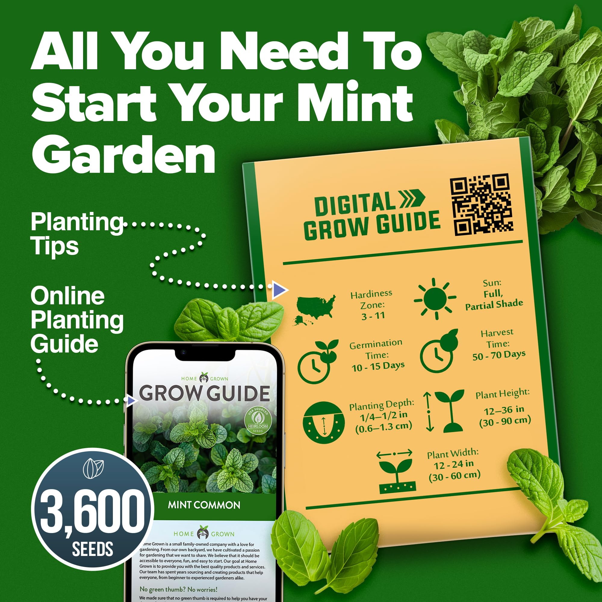 HOME GROWN mint seeds aroma diffusion, natural pest deterrent through scent.