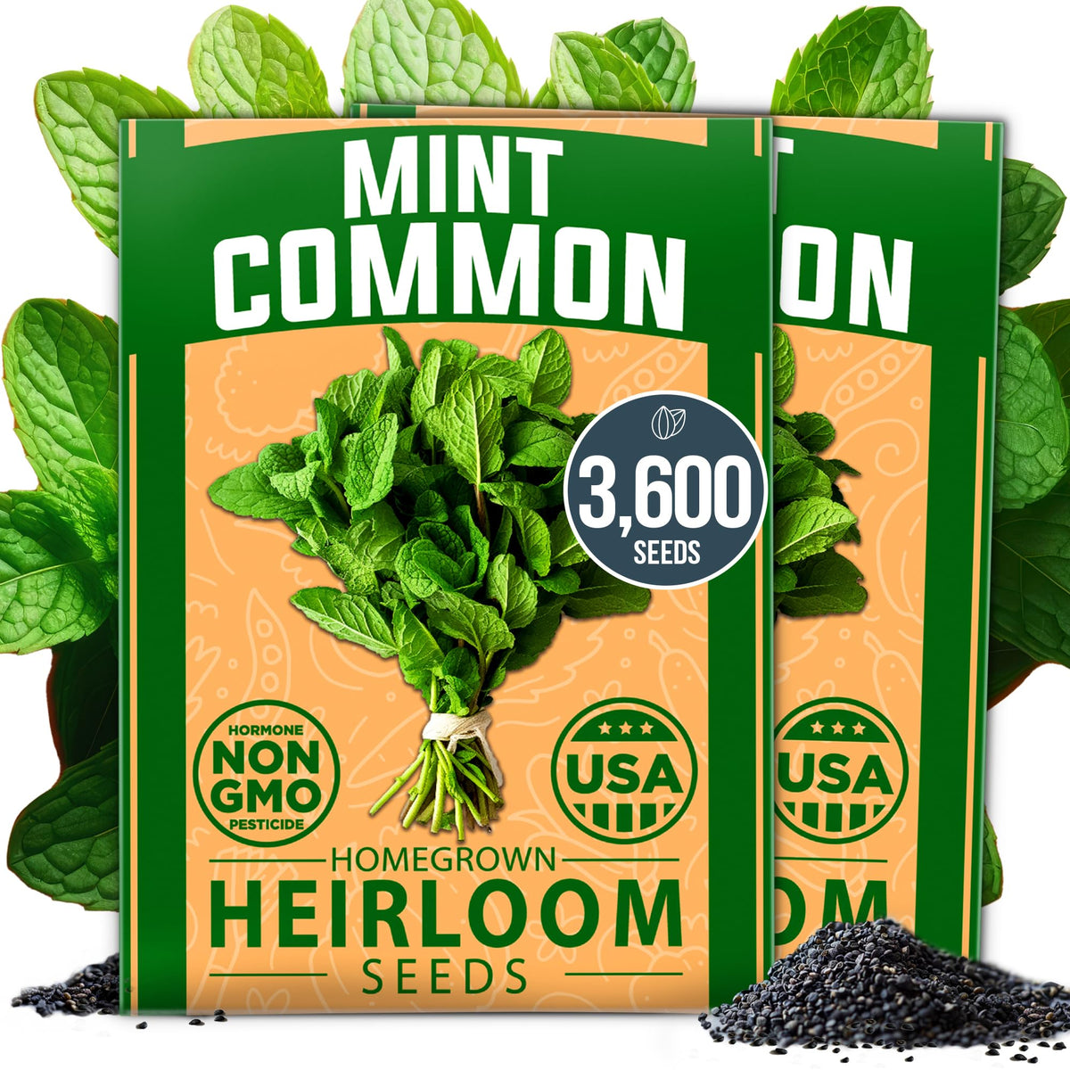HOME GROWN mint seeds bulk pack front, ready for a reliable indoor or outdoor herb garden.