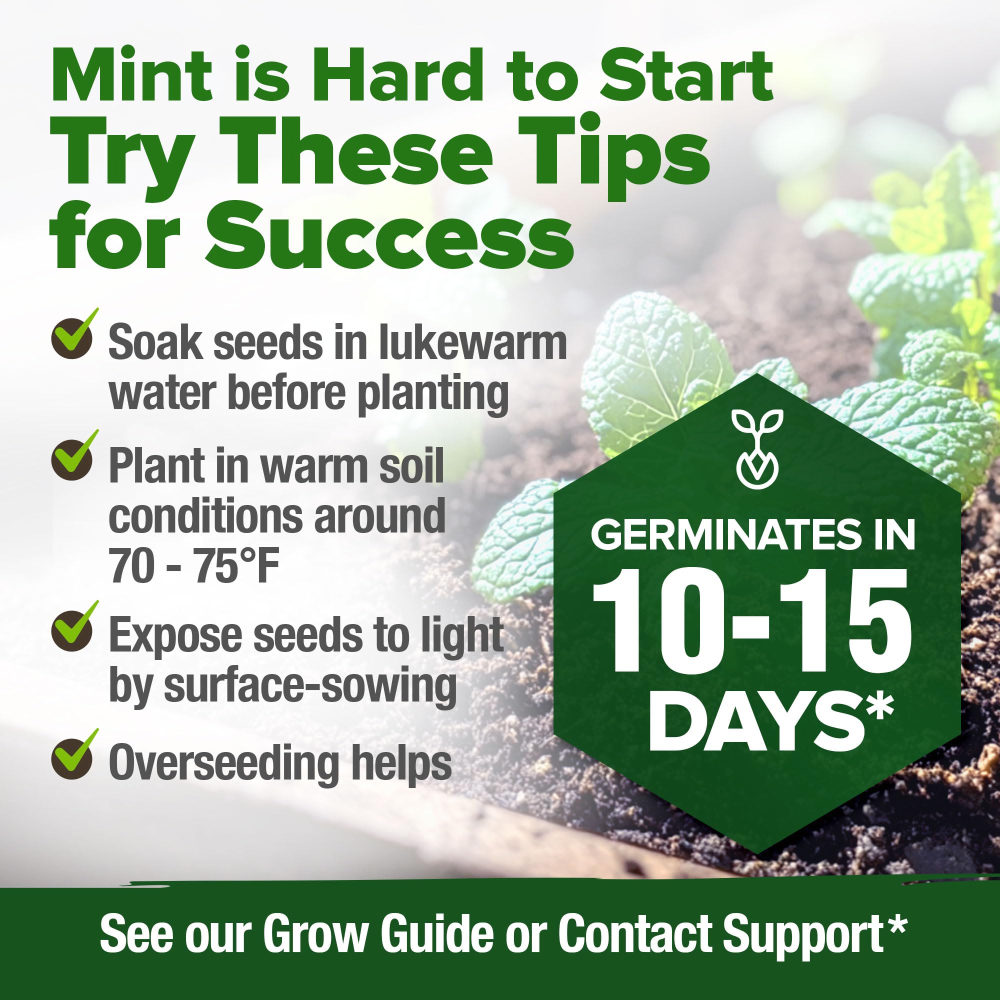 HOME GROWN mint seeds pest deterrent image with aromatic mint barrier.