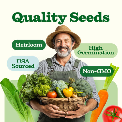 Home-Grown Contender Bush Beans, perfect for quick harvests in small-space gardens.