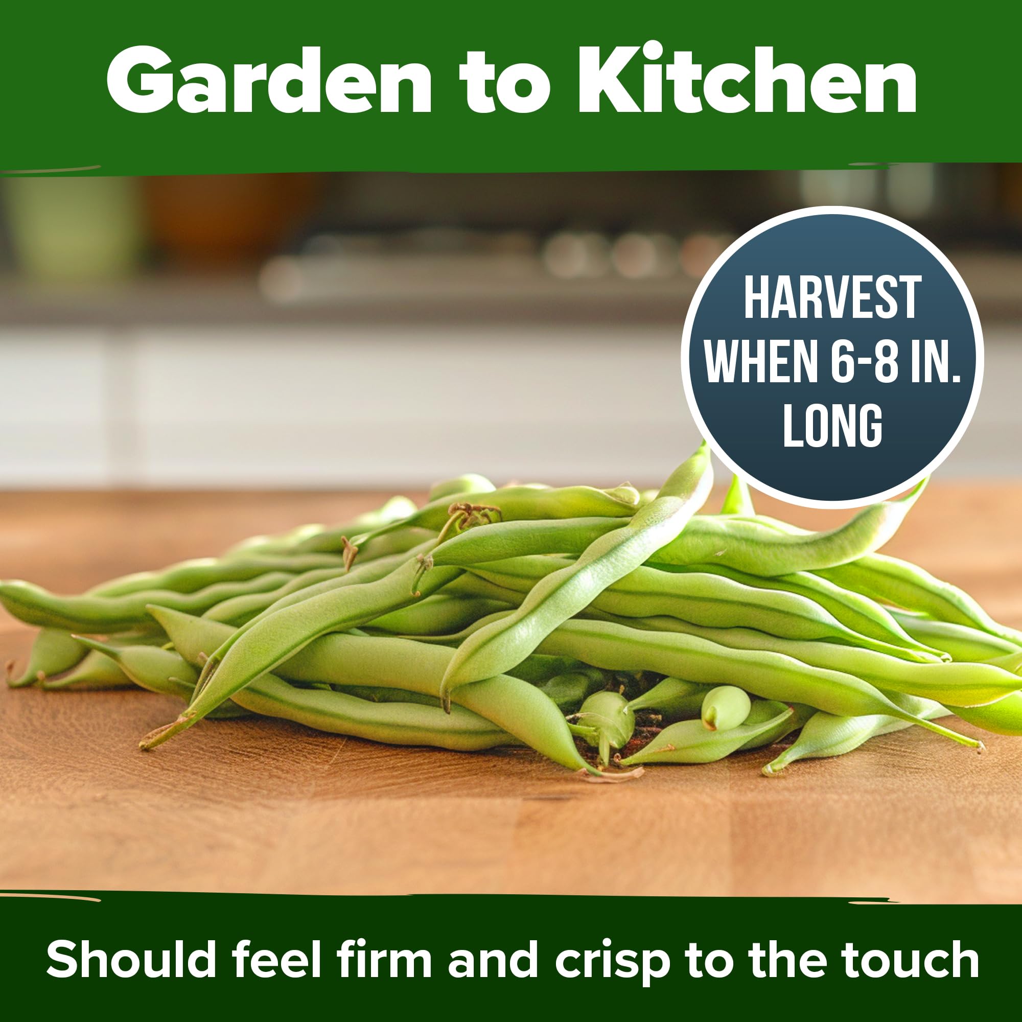 HOME GROWN Contender garden setup guide close-up for easy planting.
