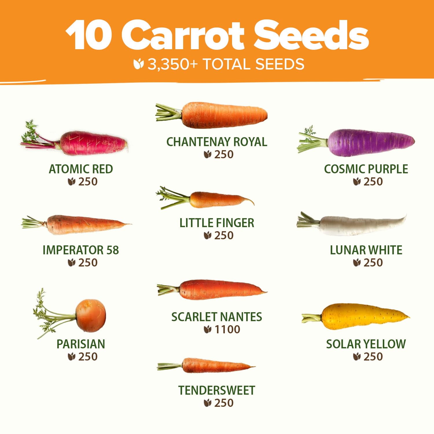 Home Grown cosmic purple carrot seeds spark curiosity and color-rich salads.