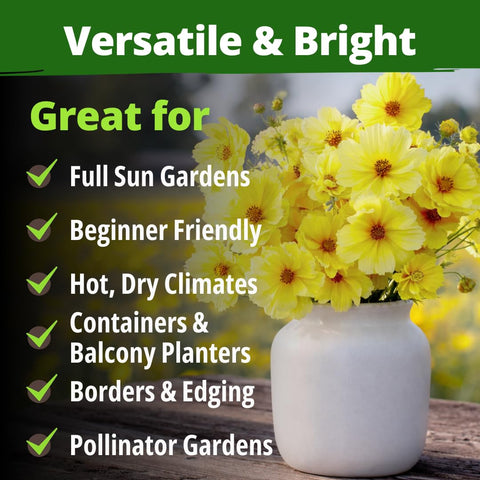 HOME GROWN Dwarf Lemon blooms attract bees and butterflies to pollinator-friendly gardens.