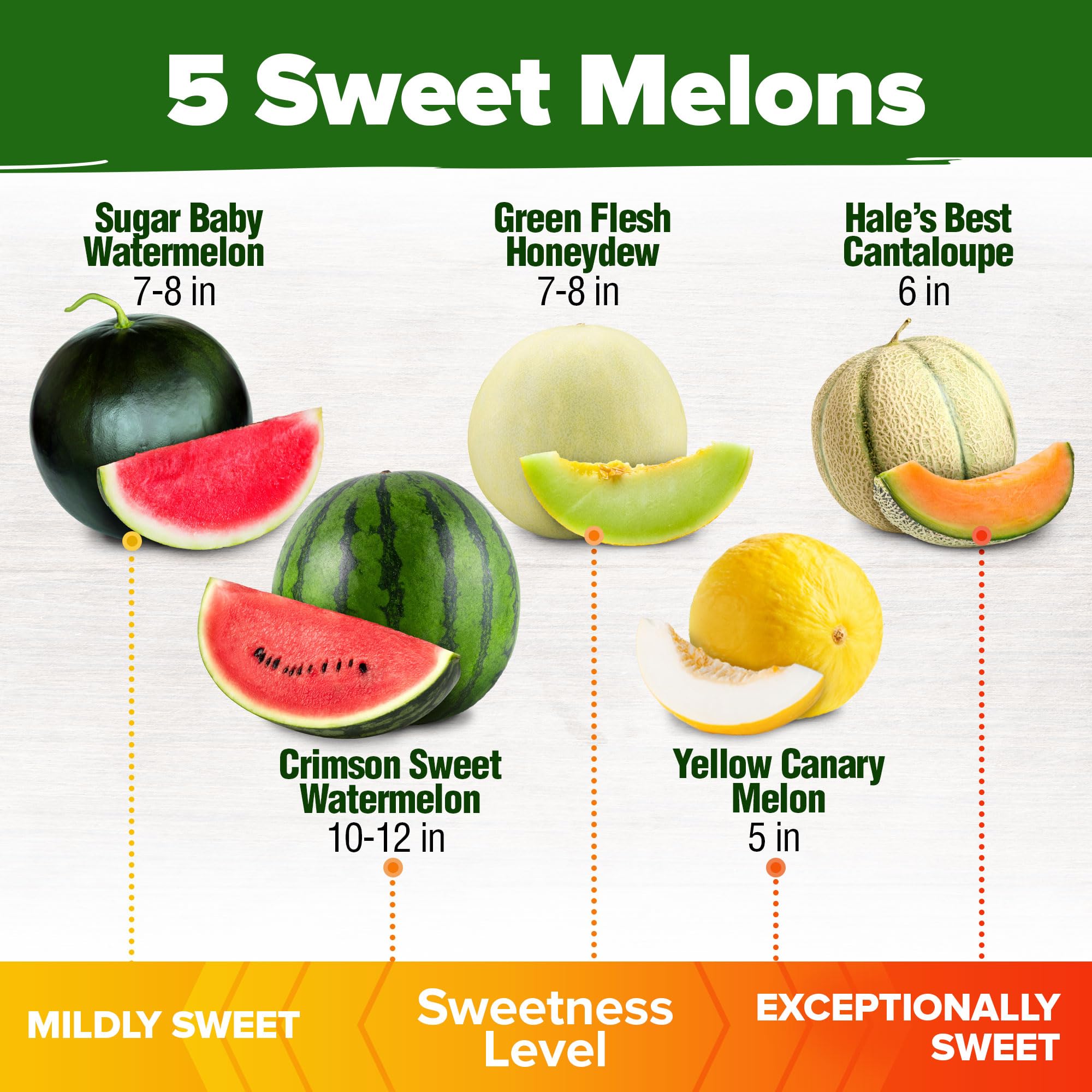 HOME GROWN Crimson Sweet Watermelon full fruit, large yield and classic sweetness for gatherings.