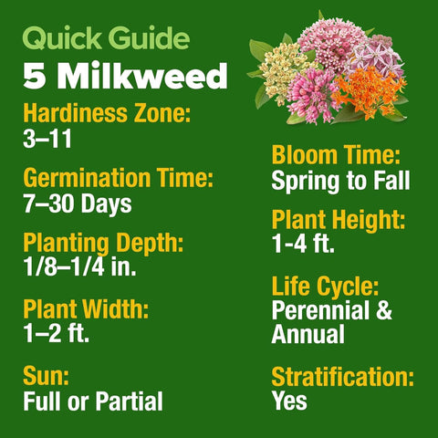 HOME GROWN five varieties show vibrant milkweed blooms for garden color and monarch-friendly landscapes.