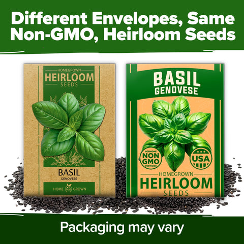 Home Grown Genovese Basil hydroponic setup with seed kit indoors