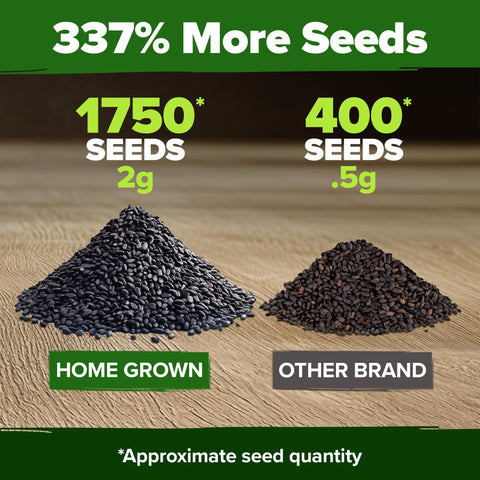 HOME GROWN Genovese Basil seeds ideal for hydroponics and refillable systems