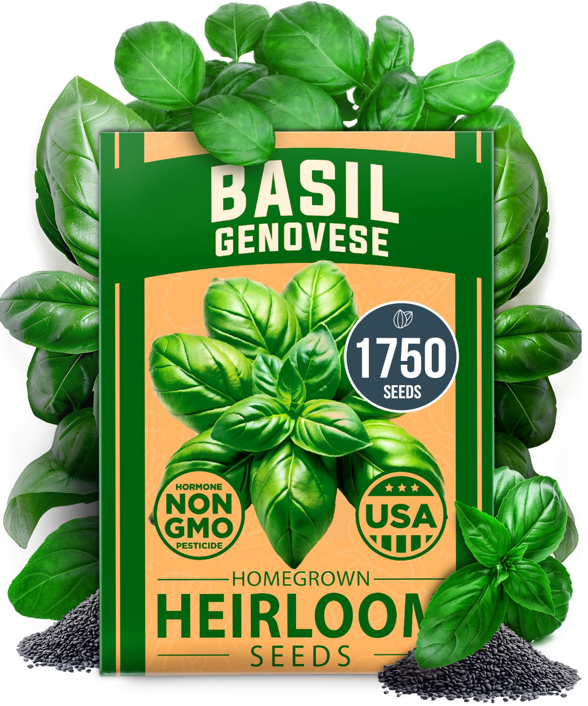 HOME GROWN Genovese Basil seeds pack 1750+ for abundant indoor-outdoor herb gardening