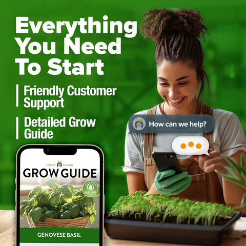 HOME GROWN Genovese Basil seeds pack containing about 1,750 seeds