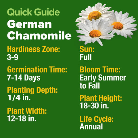 Home Grown German Chamomile seed pack, fast germination for quick blooms.