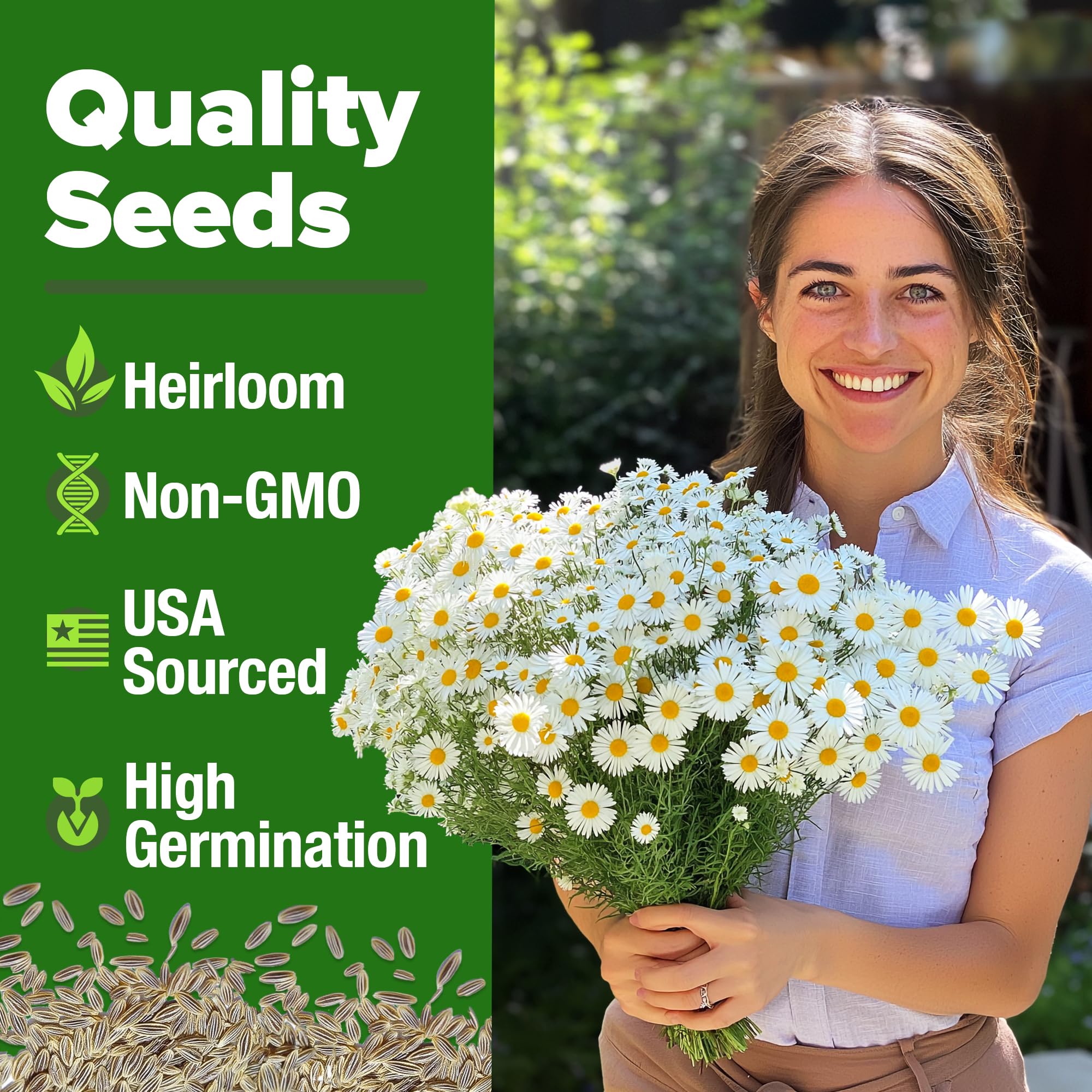 HOME GROWN German Chamomile seed pack shows 2,280 seeds for large plantings