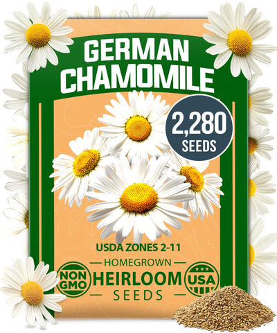 HOME GROWN German Chamomile seed pack front for easy garden starts