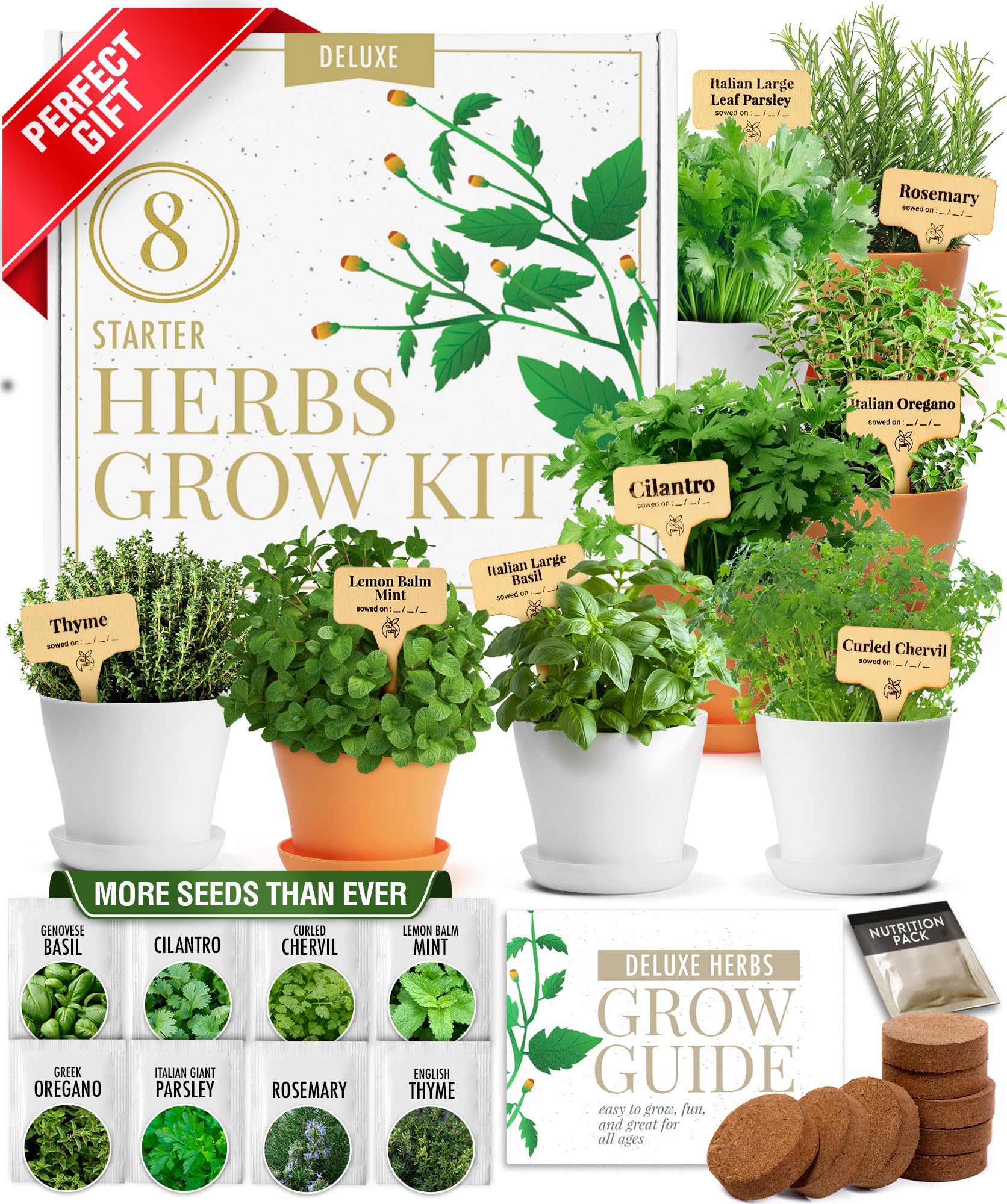 HOME GROWN Gift Herb Kit with eight herb seeds for easy indoor gardening.