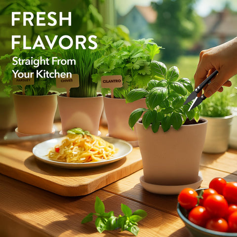 HOME GROWN gift-ready herb kit ideal for plant lovers
