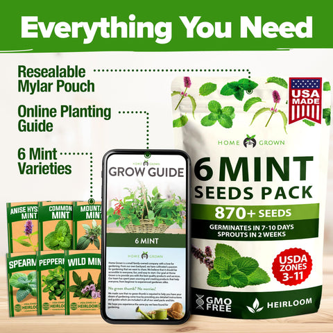 HOME GROWN Gift-ready mint seed set ideal for gardeners
