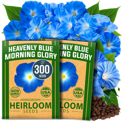 HOME GROWN Heavenly Blue seed pack — vibrant blooms brighten any garden.