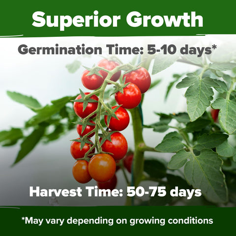 HOME GROWN heirloom non-GMO seeds, USA-packed for reliable planting