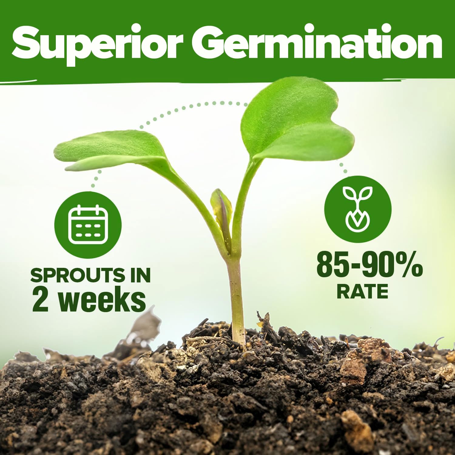 HOME GROWN seeds compatible with hydroponic pods enable flexible growing.