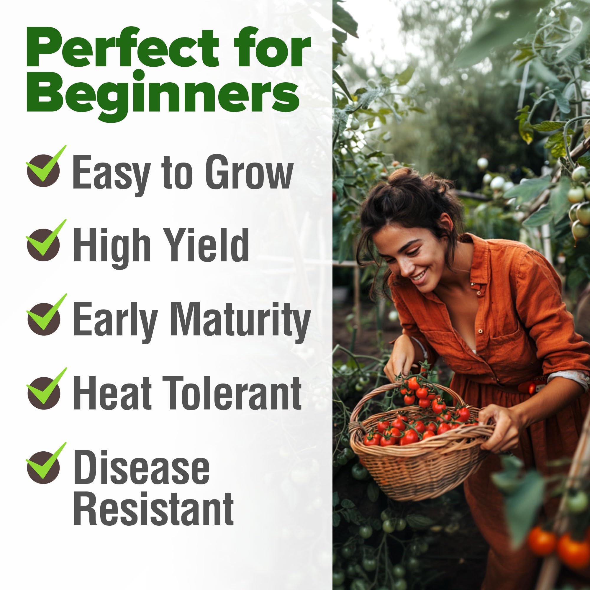 HOME GROWN hydroponics-friendly seeds for indoor tomato gardening