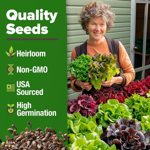 HOME GROWN Iceberg lettuce seeds for crunchy heads and cool-season planting.