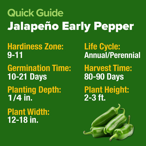 Indoor gardening setup with HOME GROWN jalapeno seeds thriving in containers.