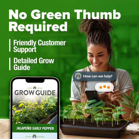 Non-GMO label on HOME GROWN jalapeno seeds highlighting quality.