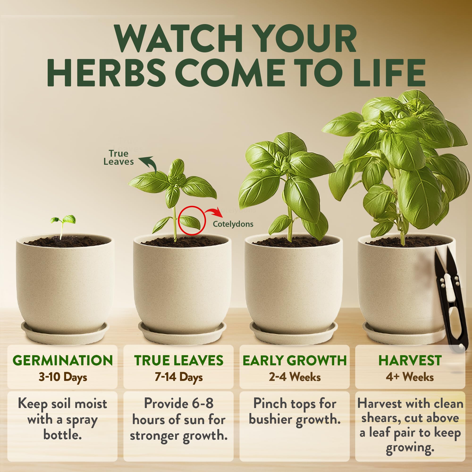 HOME GROWN Durable pots for tidy indoor herb cultivation.