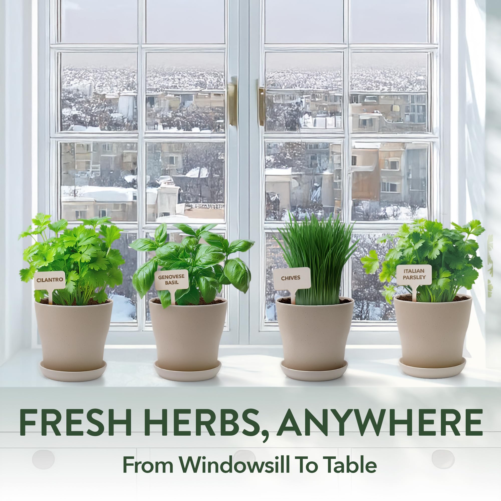 HOME GROWN kitchen window garden setup for fresh cooking herbs
