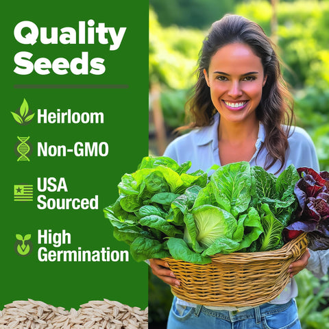 HOME GROWN heirloom non-GMO lettuce seeds in labeled packaging.