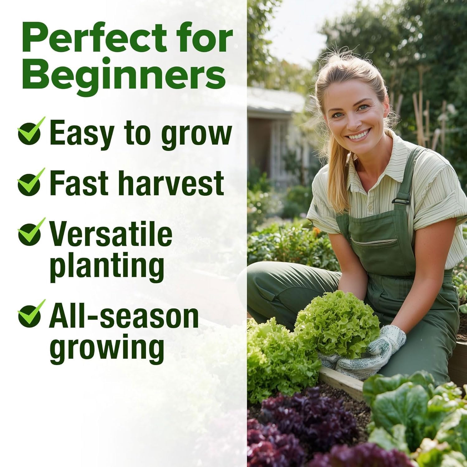HOME GROWN lettuce seeds thrive in outdoor garden beds for fresh harvests.