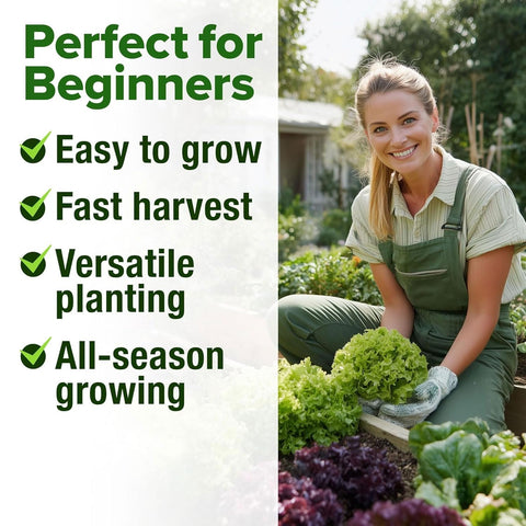 HOME GROWN lettuce seeds thrive in outdoor garden beds for fresh harvests.