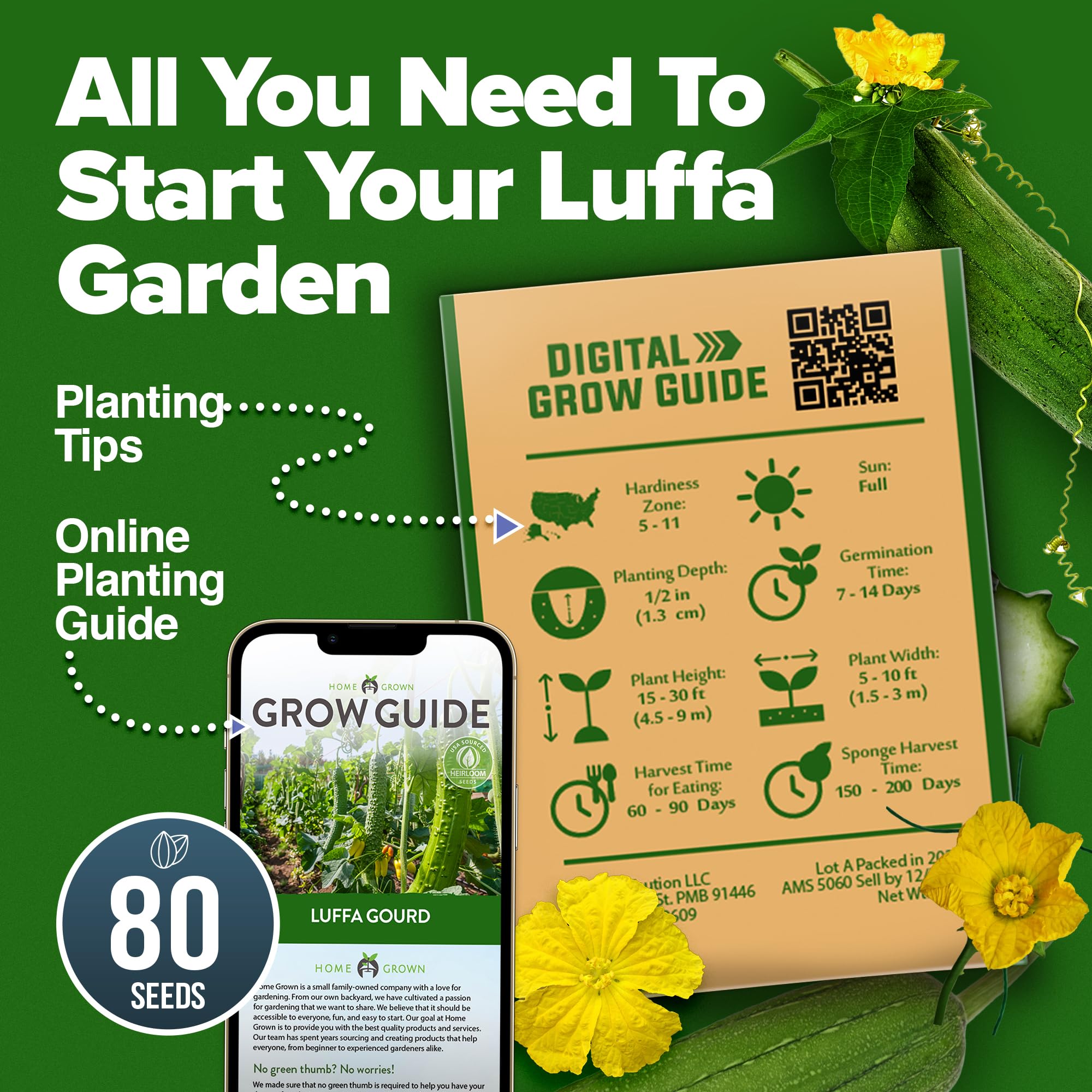 HOME GROWN luffa can become natural sponges when dried.