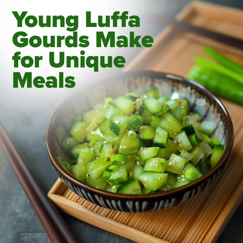 HOME GROWN Luffa seeds are non-GMO heirloom seeds sourced in the USA.
