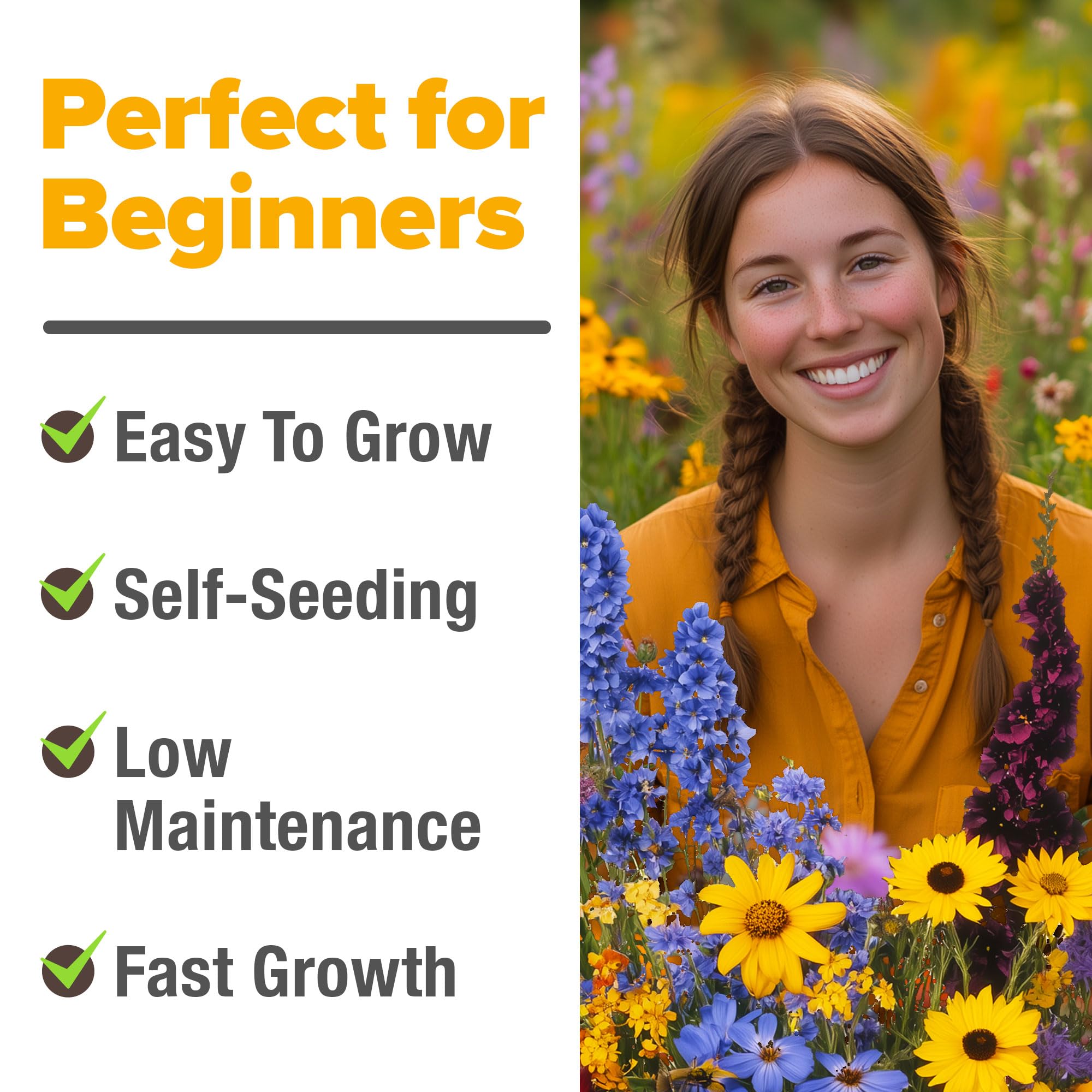 HOME GROWN meadow bloom sunlit; vibrant wildflowers create a natural, carefree landscape.
