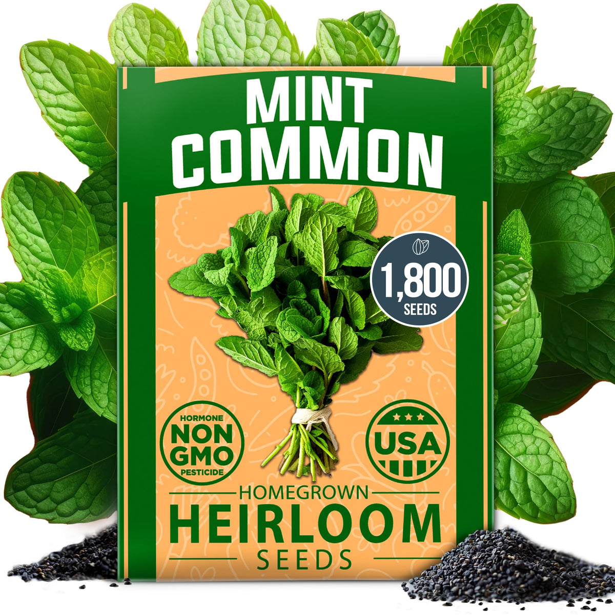 HOME GROWN mint seeds bulk pack ready for outdoor garden and fresh mint tea.
