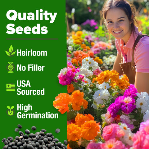 Home Grown Moss Rose Seeds Bulk Pack ideal for borders and pathways.