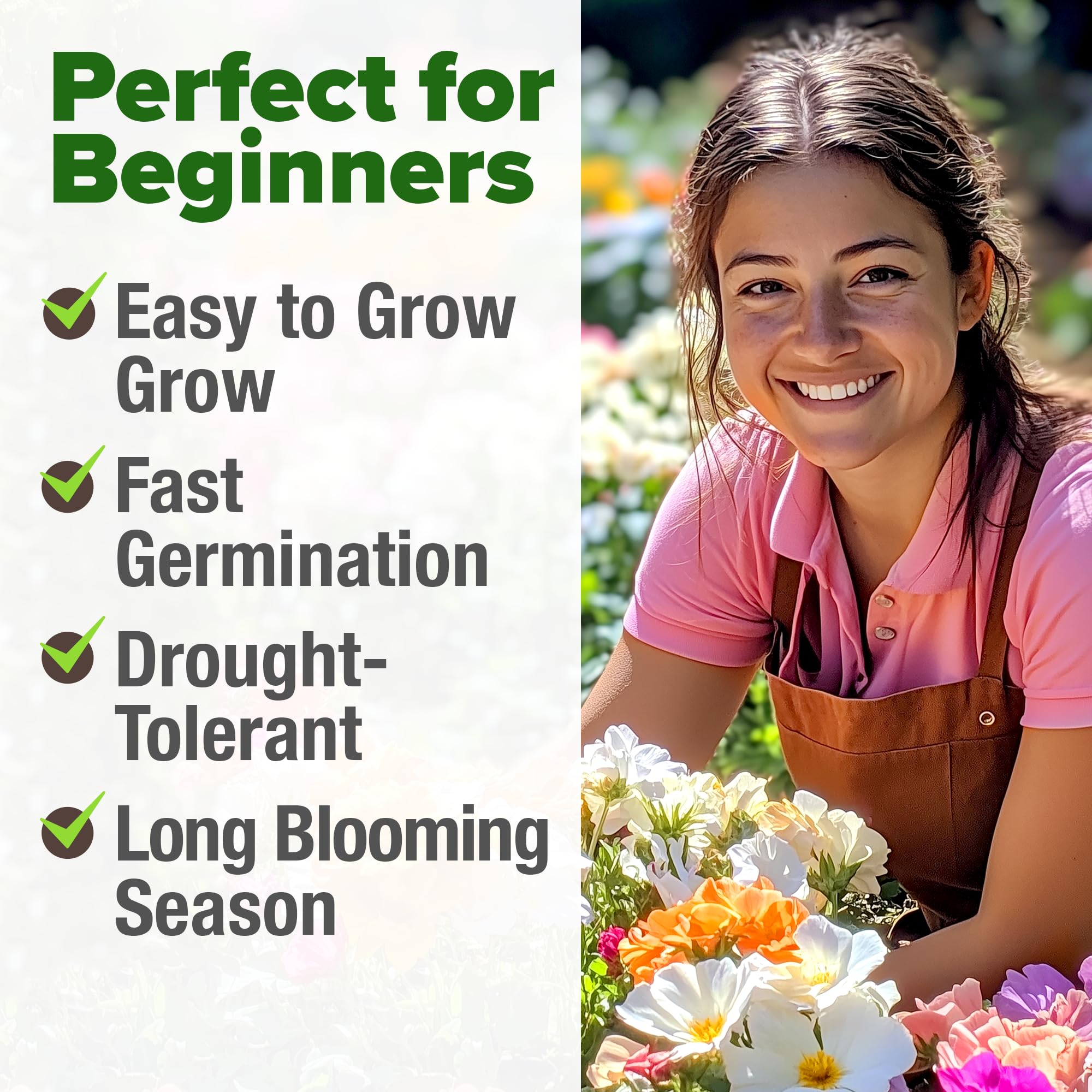 Home Grown Moss Rose Seeds Bulk Pack forms a dense mat for easy weed suppression.