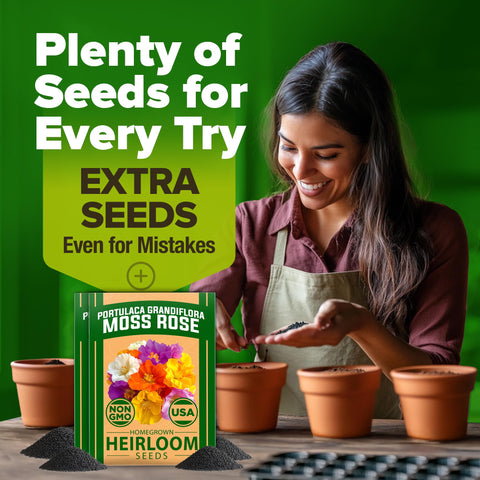 HOME GROWN moss rose seeds heirloom non-gmo bulk option for colorful landscapes