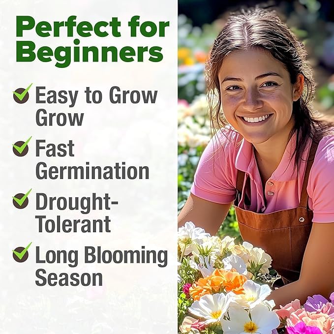 HOME GROWN moss rose seeds sunny garden spots thrive with full sun and long-lasting color