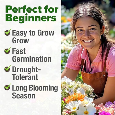 HOME GROWN moss rose seeds sunny garden spots thrive with full sun and long-lasting color