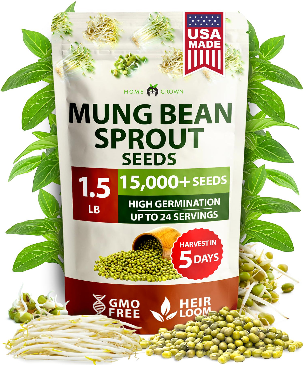 HOME GROWN mung bean seeds pack 1.5 lb for fresh sprouts.