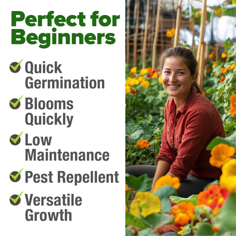 Ground-cover nasturtiums provide color and edible petals with weed suppression.