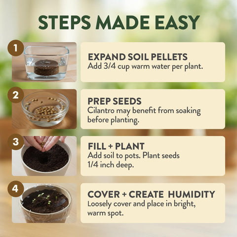 HOME GROWN nutrient soil discs support hassle-free planting