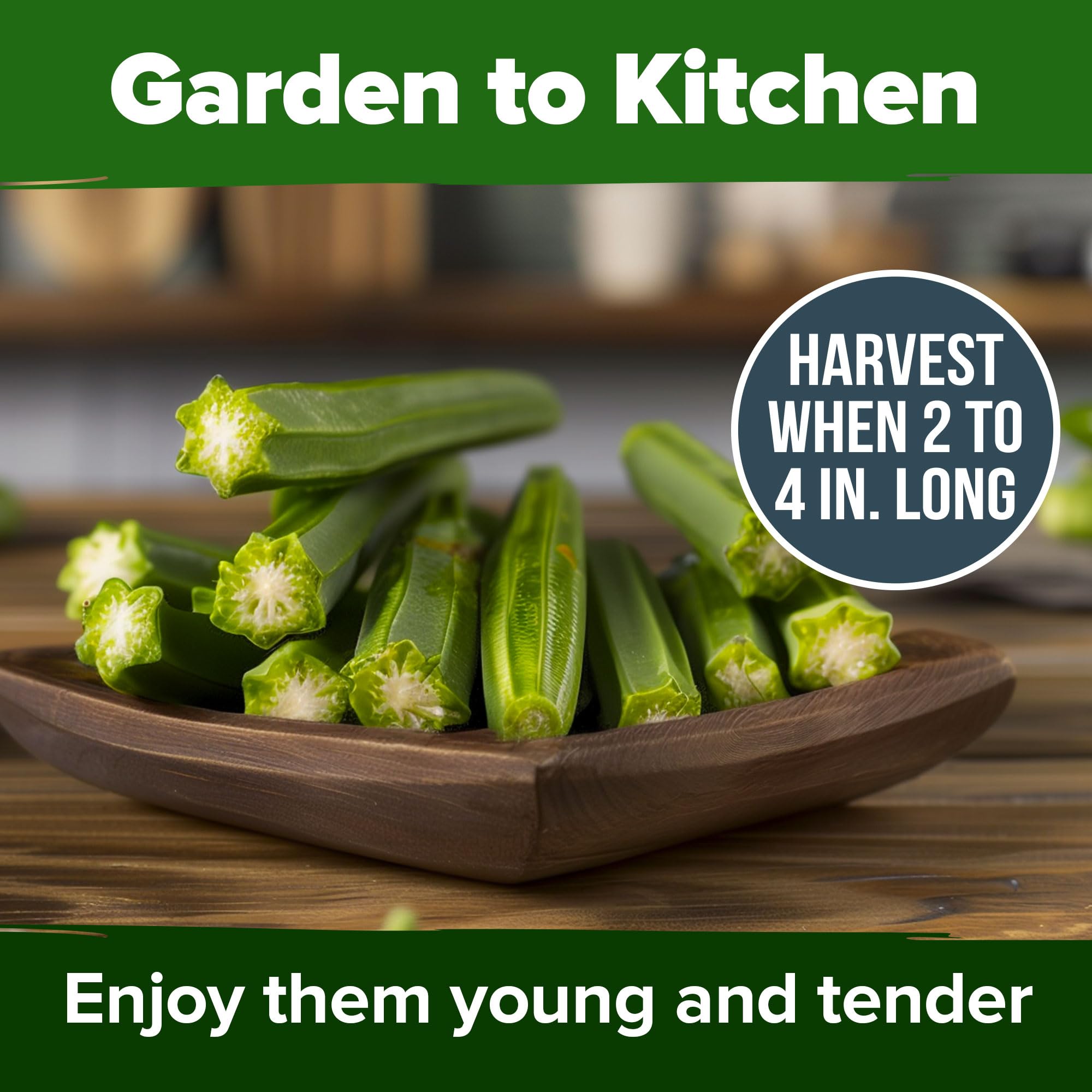 HOME GROWN okra flowers and pods add edible ornamental value