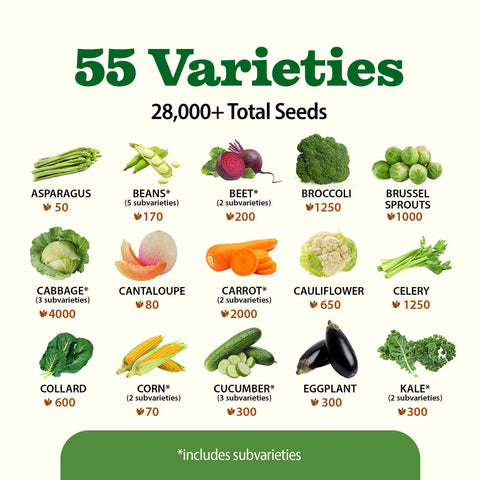 HOME GROWN open-pollinated seeds collection packets demonstrate reliable germination and resilience.