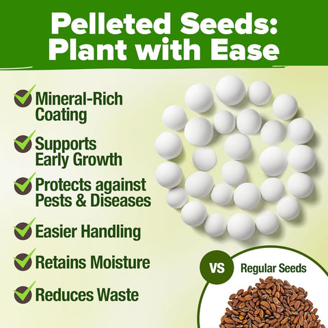 HOME GROWN herb seeds variety pack gift-ready kit for cooks and gardeners
