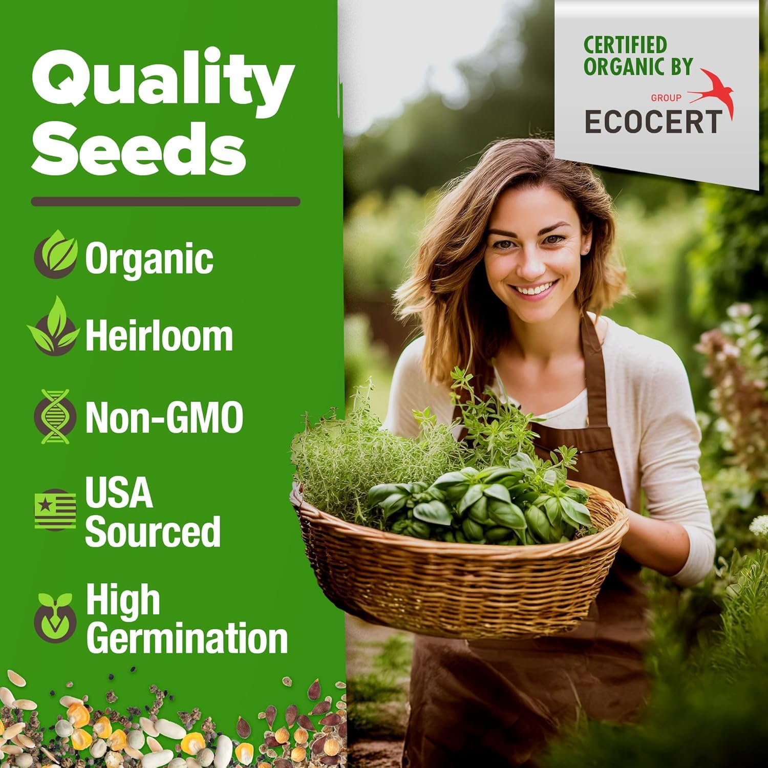 HOME GROWN herb seeds variety pack windowsill herbs ready for indoor cooking