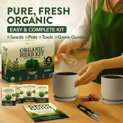 HOME GROWN Organic soil discs support strong germination and healthy roots.